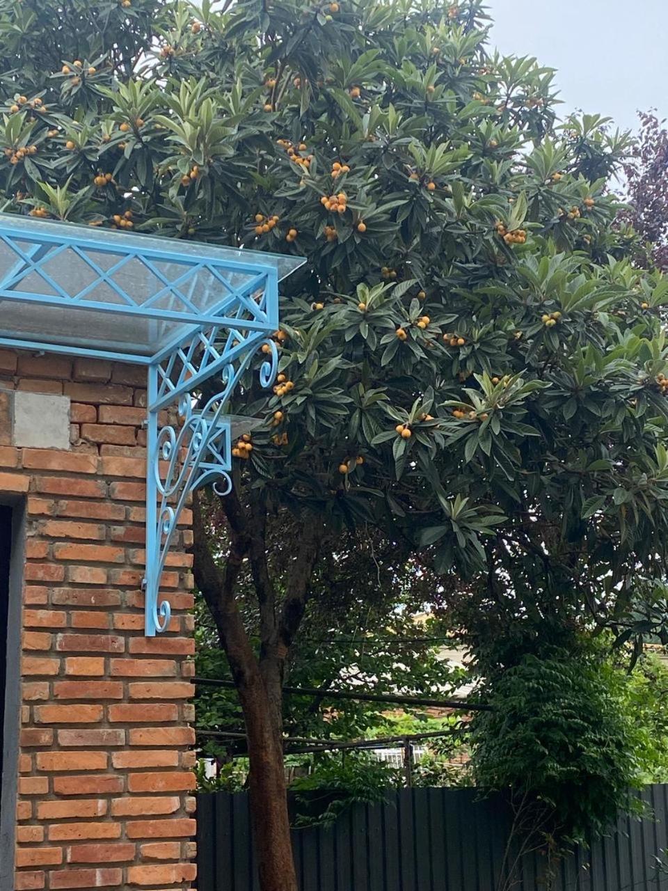 Hotel Varla Кутаїсі Екстер'єр фото