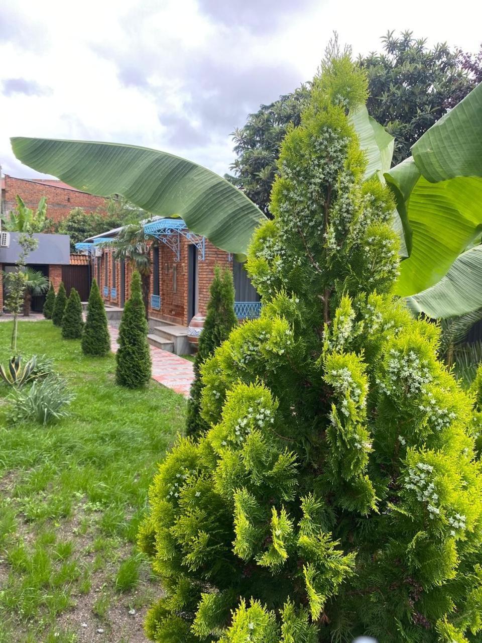 Hotel Varla Кутаїсі Екстер'єр фото